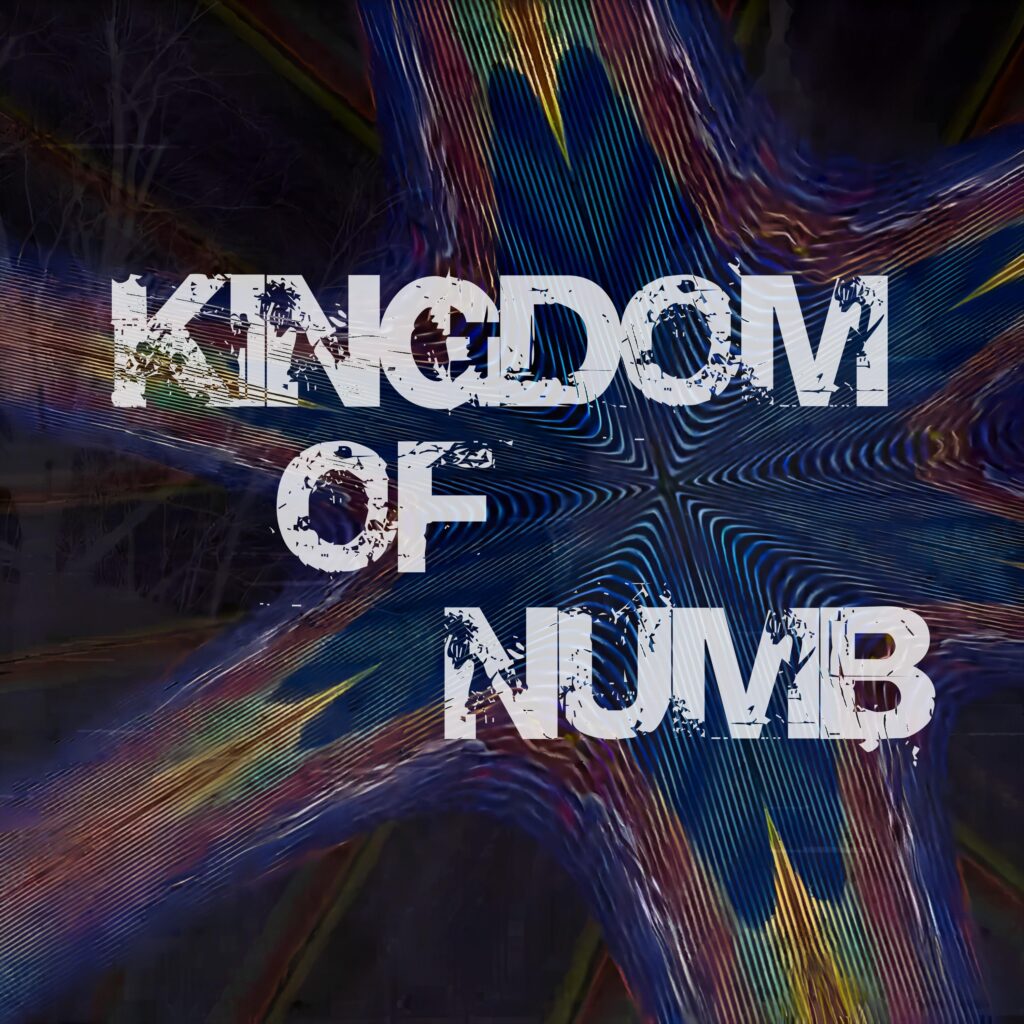Kingdom Numb